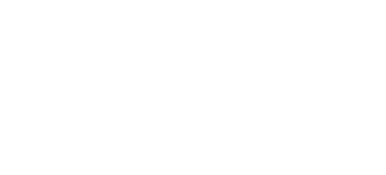 Logo Rock Center Program for Journalists  